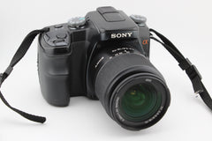 Sony DSLR-A100 + 18-70mm f3.5-5.6 (#4388)