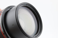 Canon EF 100-300mm f5.6 L (#3845)