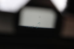 Olympus OM-2 + 50mm f1.8 (#4307)