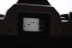 Minolta XG-A + 50mm f2 (#4354)