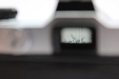 Fujica ST605N + 55mm f2.2 (#3478) - Fujica