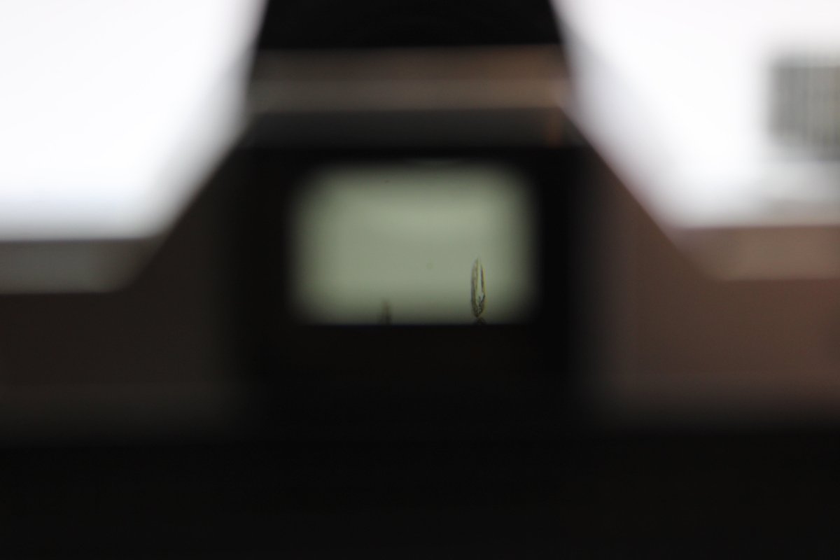 Praktica MTL 3 + 50mm f2.8 (#2950) - Praktica