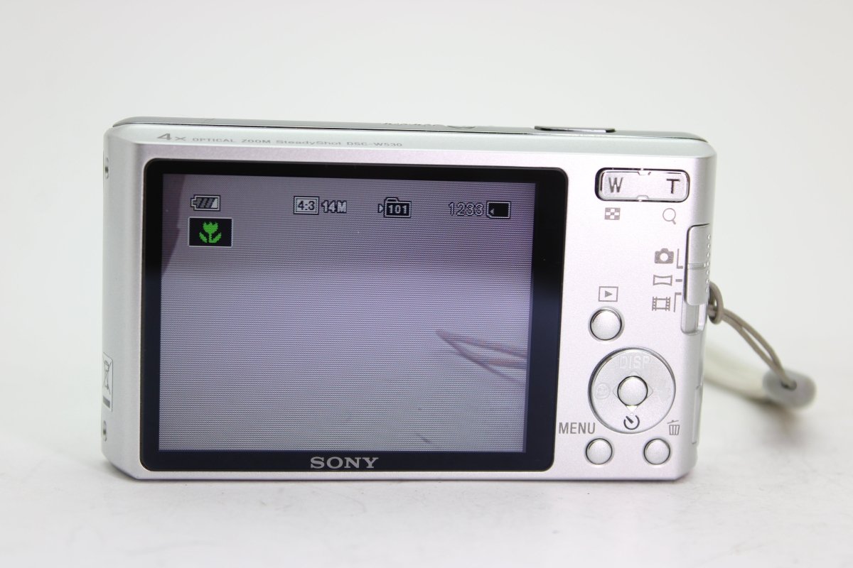 Sony Cyber - Shot DSC - W530 (#3590) - Sony