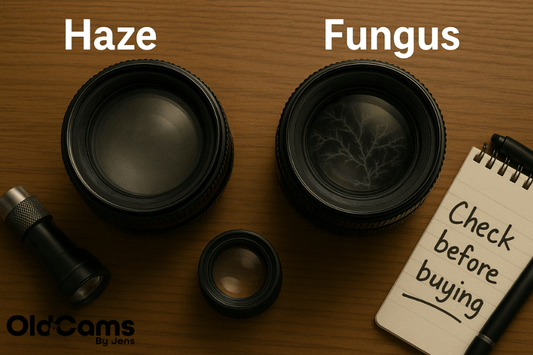 Lens Haze vs Fungus: What Is the Difference - OldCamsByJens