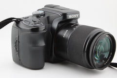 Sony DSLR-A100 + 18-70mm f3.5-5.6 (#4388)