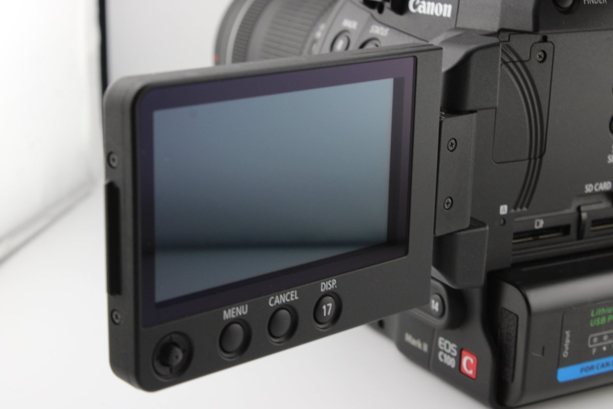 Canon EOS C100 Mark II + 18 - 135mm Lens (4194) - Canon