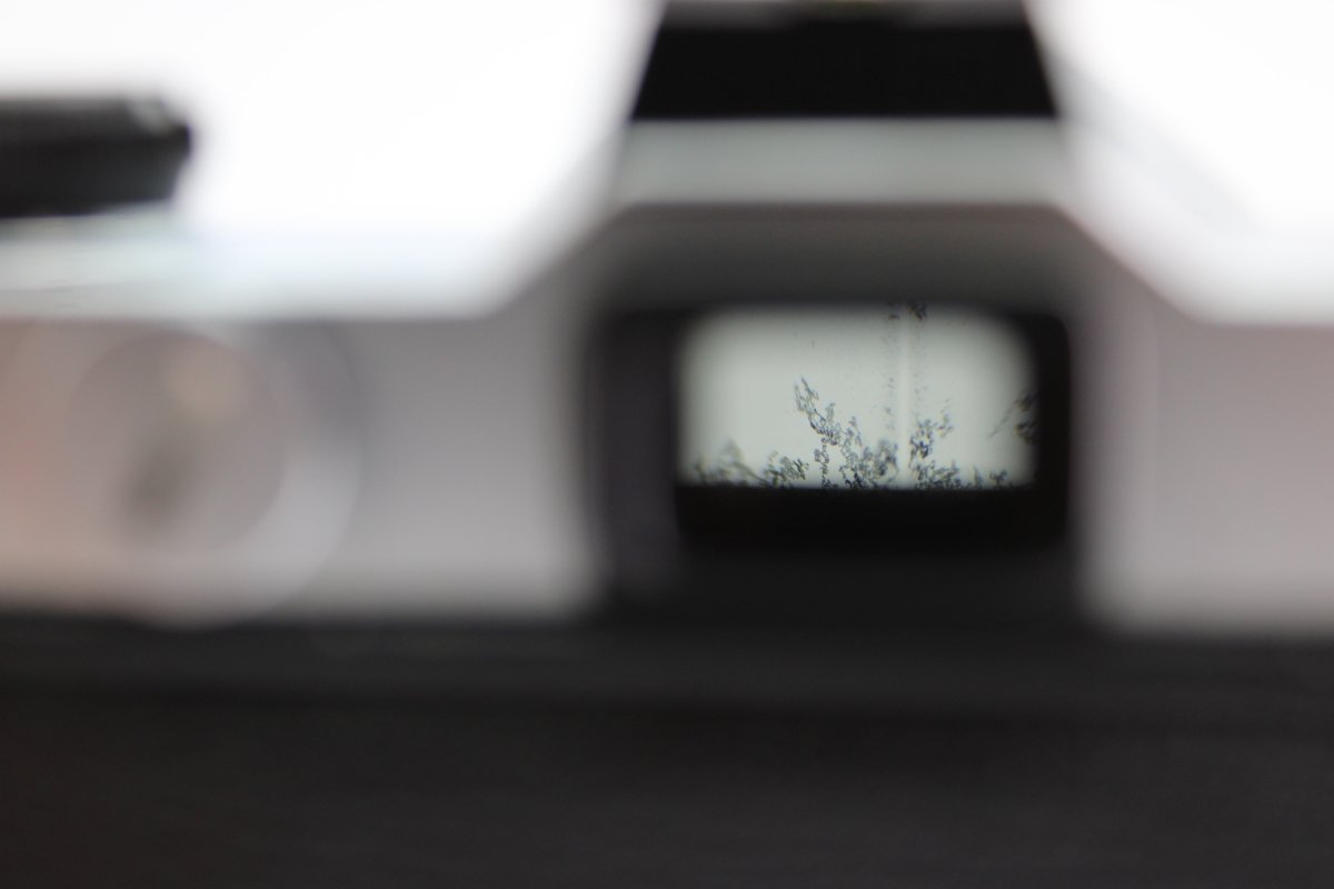 Fujica ST605N + 55mm f2.2 (#3478) - Fujica