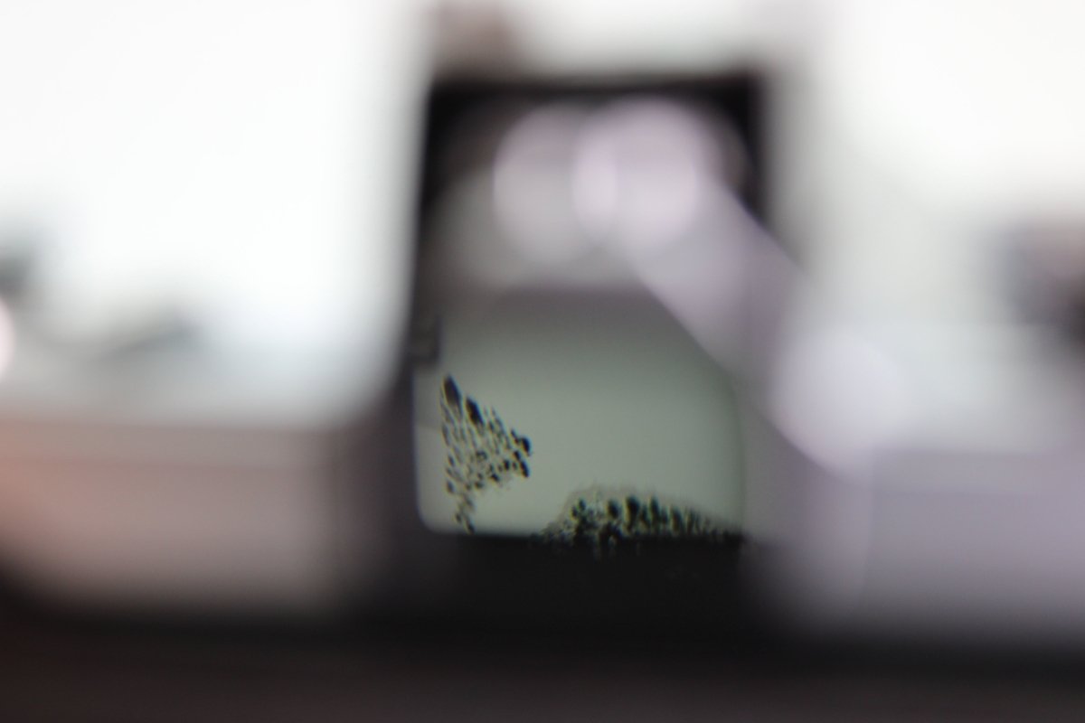 Olympus OM - 1 + 50mm f1.8 (#3242) - Olympus